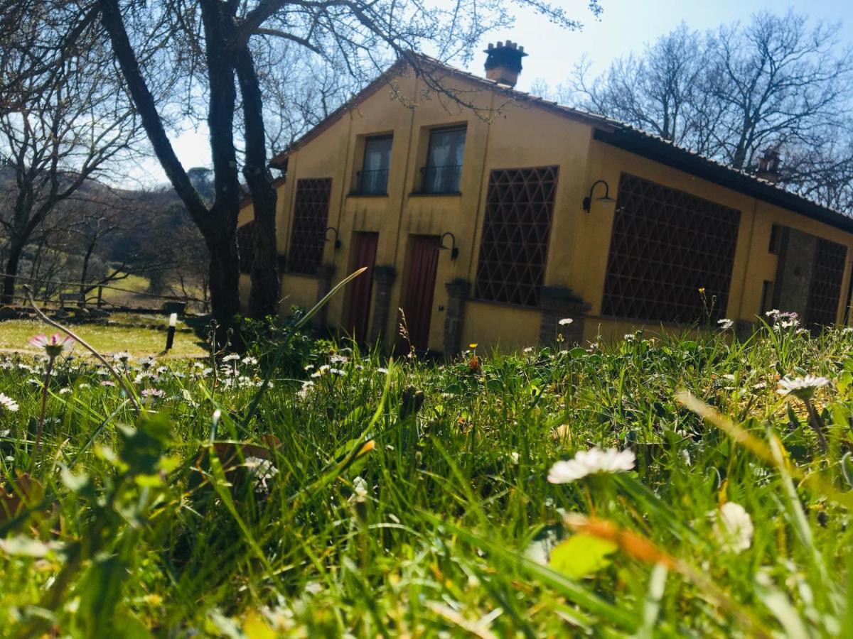 Viva House Villa Montaione Exterior photo